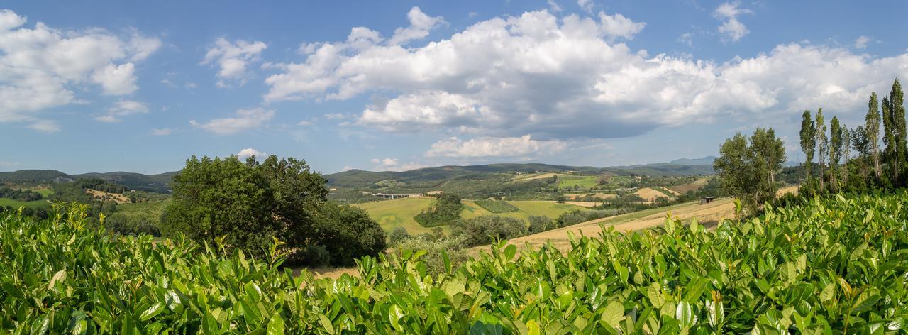 Agriturismo Dei Casali อเมเลีย ภายนอก รูปภาพ
